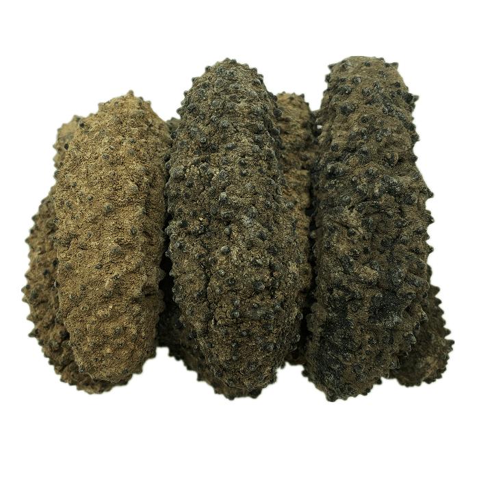 Selected Mexico Wild Caught Dried Curved Sea Cucumber - Extra Large (1 lb) - Buy at New Green Nutrition