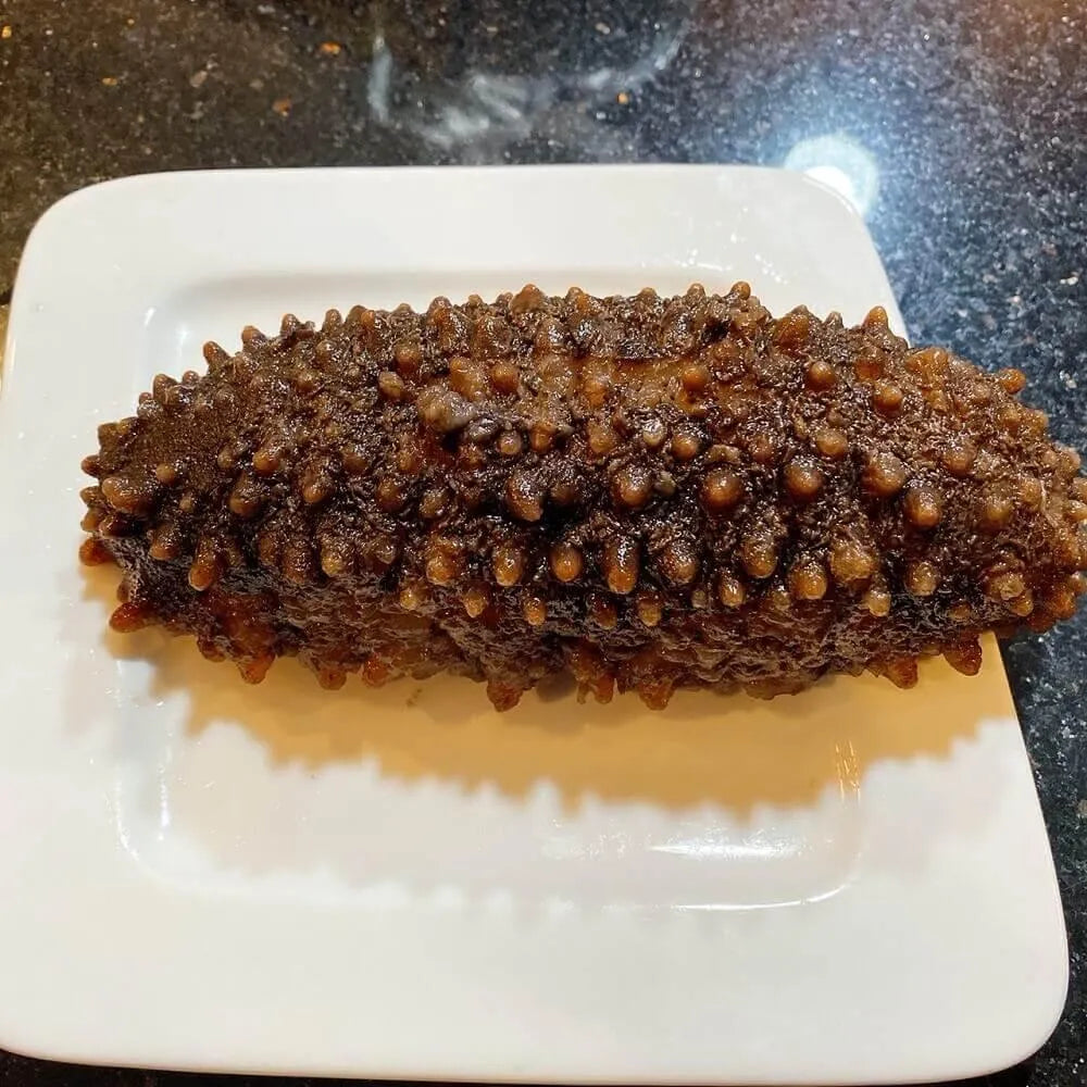 Selected Mexico Wild Caught Dried Curved Sea Cucumber - Medium (1 lb) - Buy at New Green Nutrition