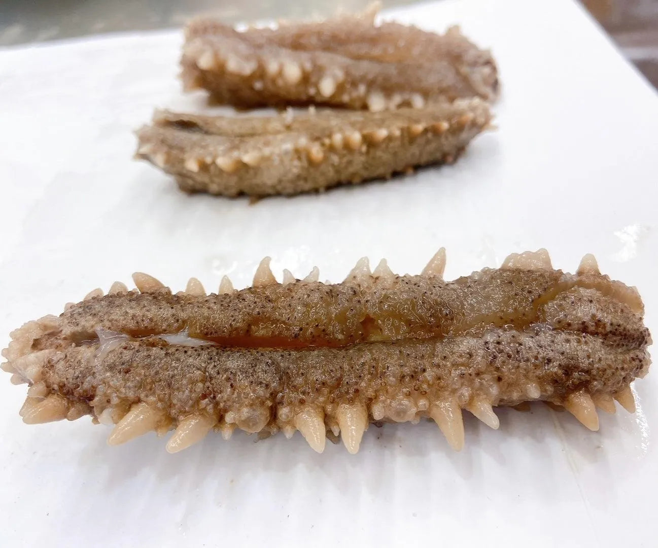 South America Wild Caught Dried Sea Cucumber Medium Size (1 LB) - Buy at New Green Nutrition