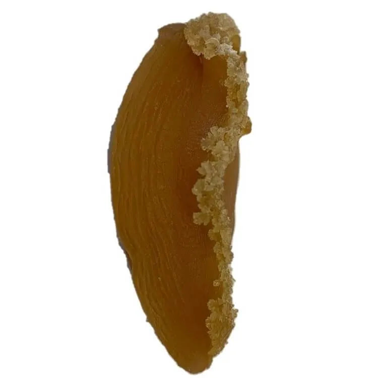 Supreme Dalian Dried Abalone Large Size (8oz. Gift Box) - Buy at New Green Nutrition