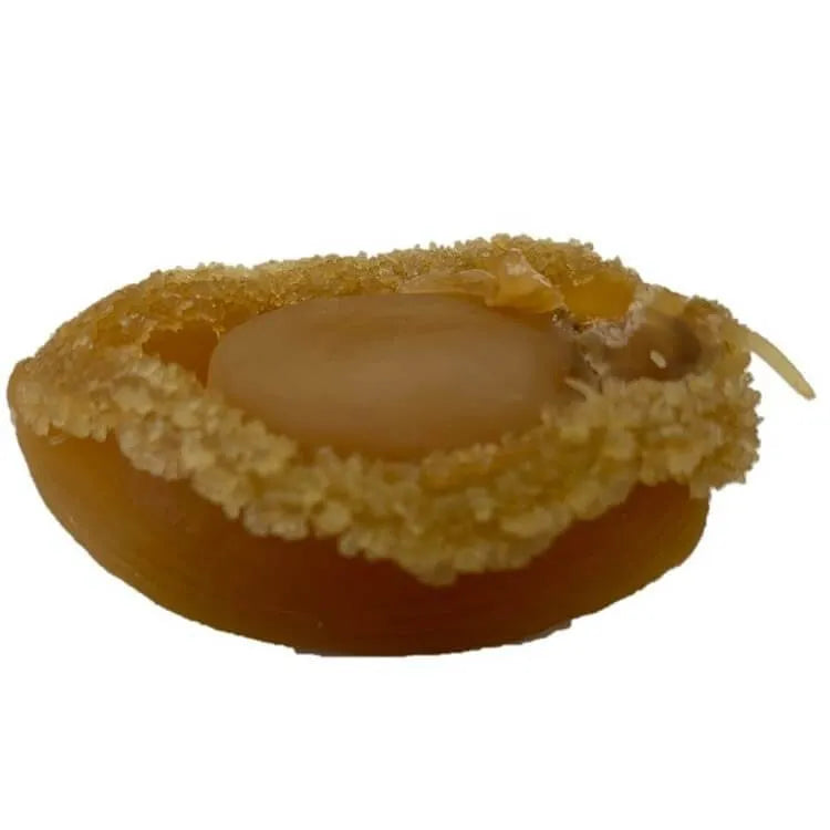 Supreme Dalian Dried Abalone Large Size (8oz. Gift Box) - Buy at New Green Nutrition