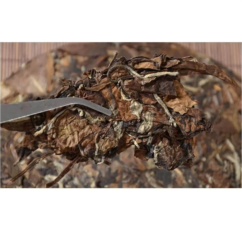 White Tea & Fermented Pu Erh Tea Cake Set (12.3oz) + Tea Knife Free - Buy at New Green Nutrition