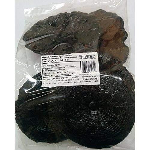 Wild Black Reishi (1 Lb) Ganoderma Lucidum - Buy at New Green Nutrition