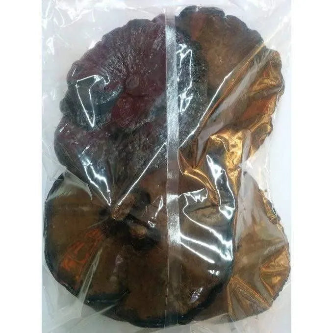 Wild Black Reishi (1 Lb) Ganoderma Lucidum - Buy at New Green Nutrition