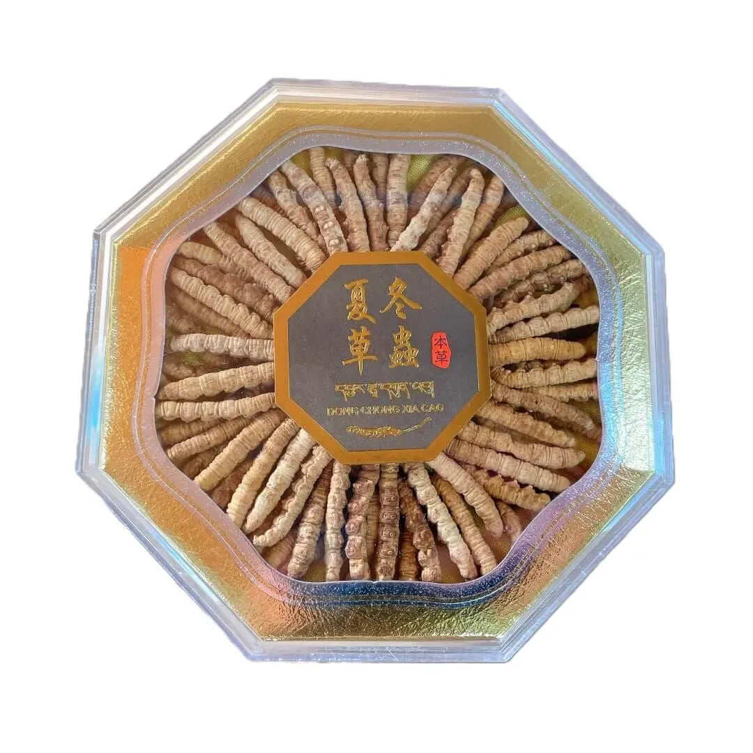 Wild Cordyceps Large Size (1 oz) - Buy at New Green Nutrition