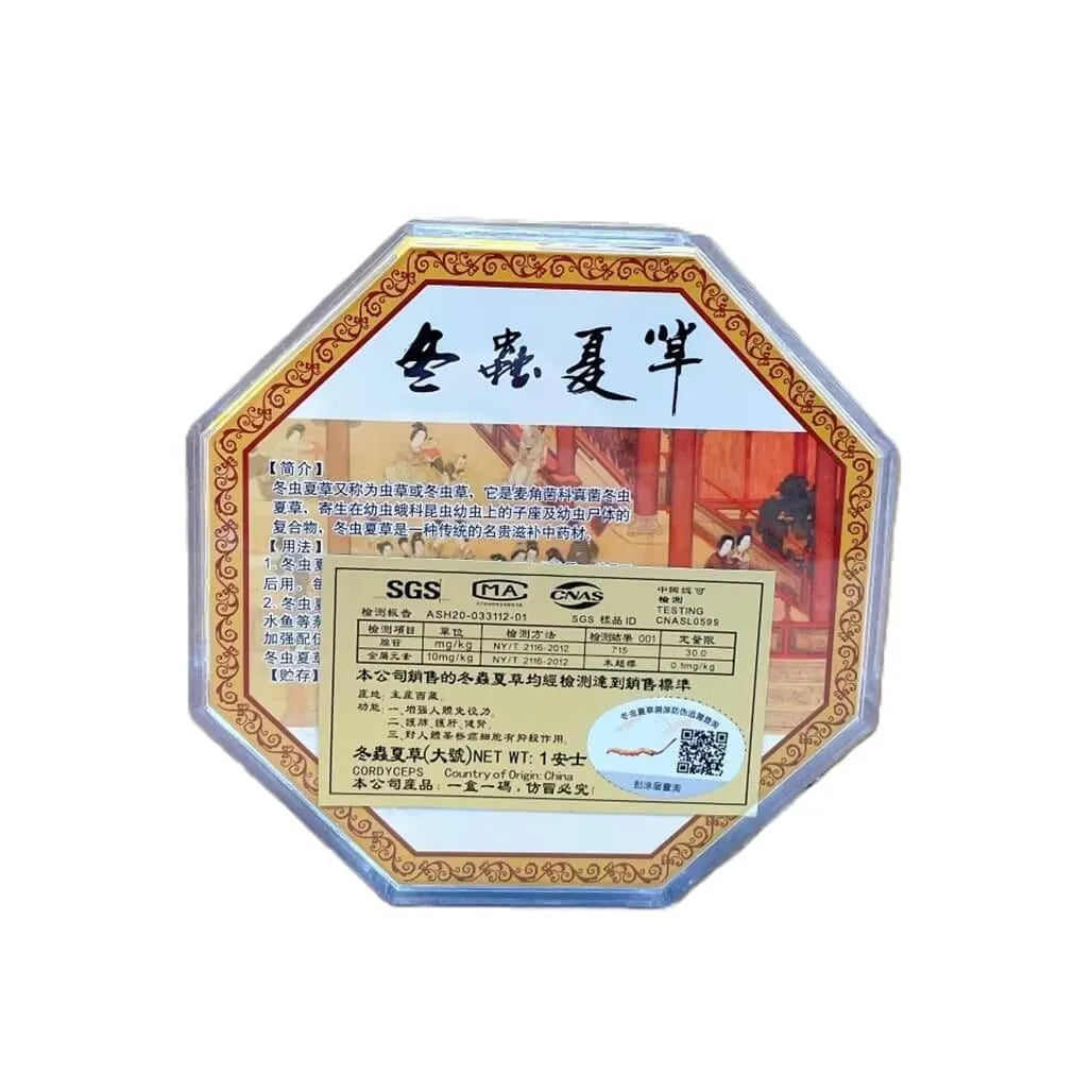 Wild Cordyceps Large Size (1 oz) - Buy at New Green Nutrition