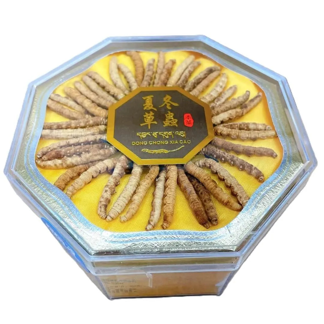 Wild Cordyceps Large Size (1/2 oz) - Buy at New Green Nutrition