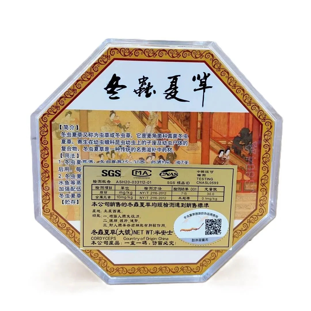 Wild Cordyceps Large Size (1/2 oz) - Buy at New Green Nutrition
