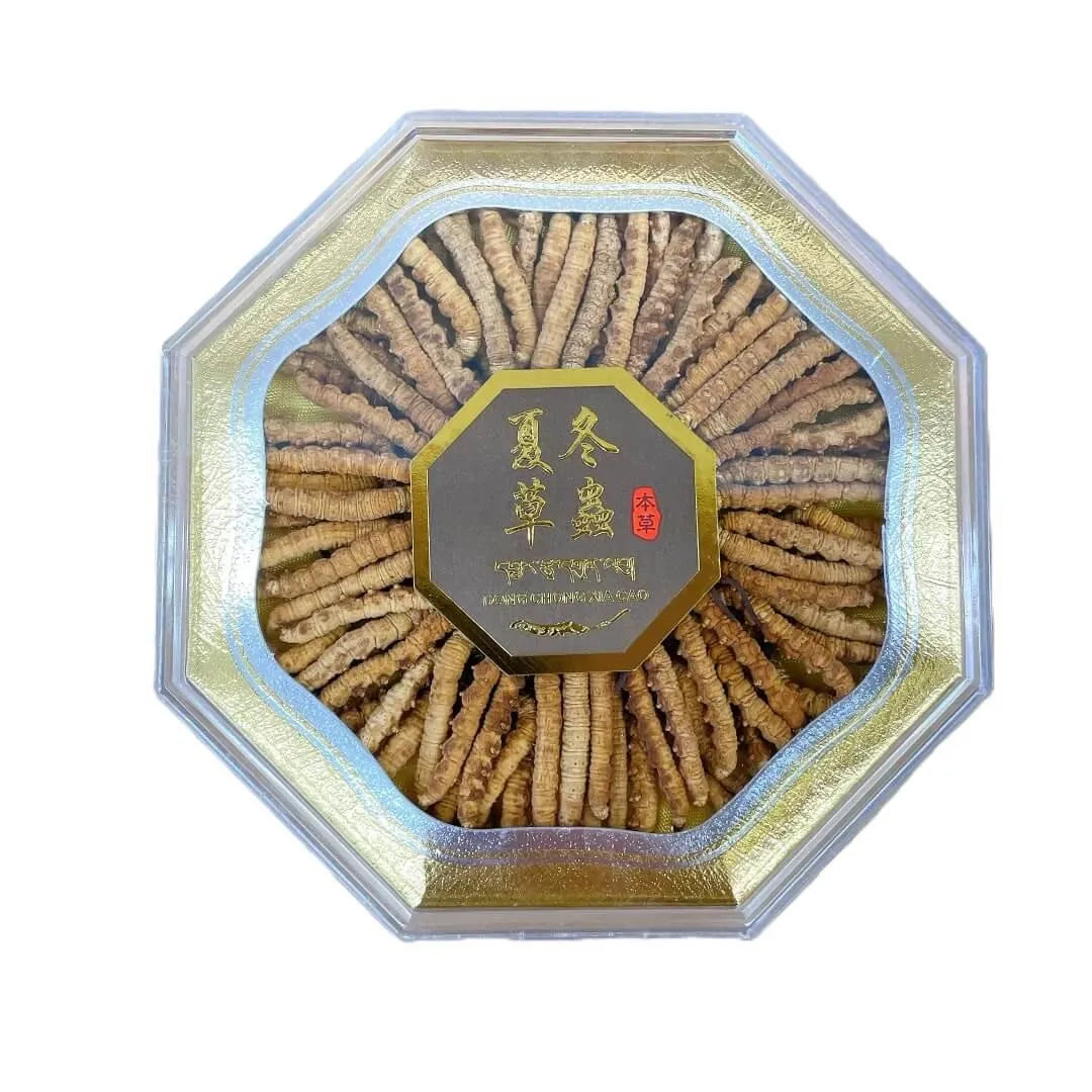 Wild Cordyceps Medium Size (1 oz) - Buy at New Green Nutrition