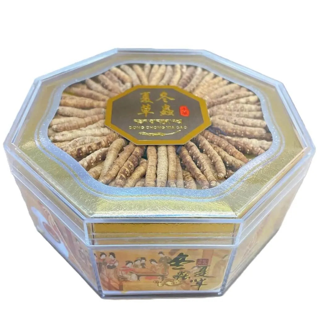 Wild Cordyceps Medium Size (1 oz) - Buy at New Green Nutrition