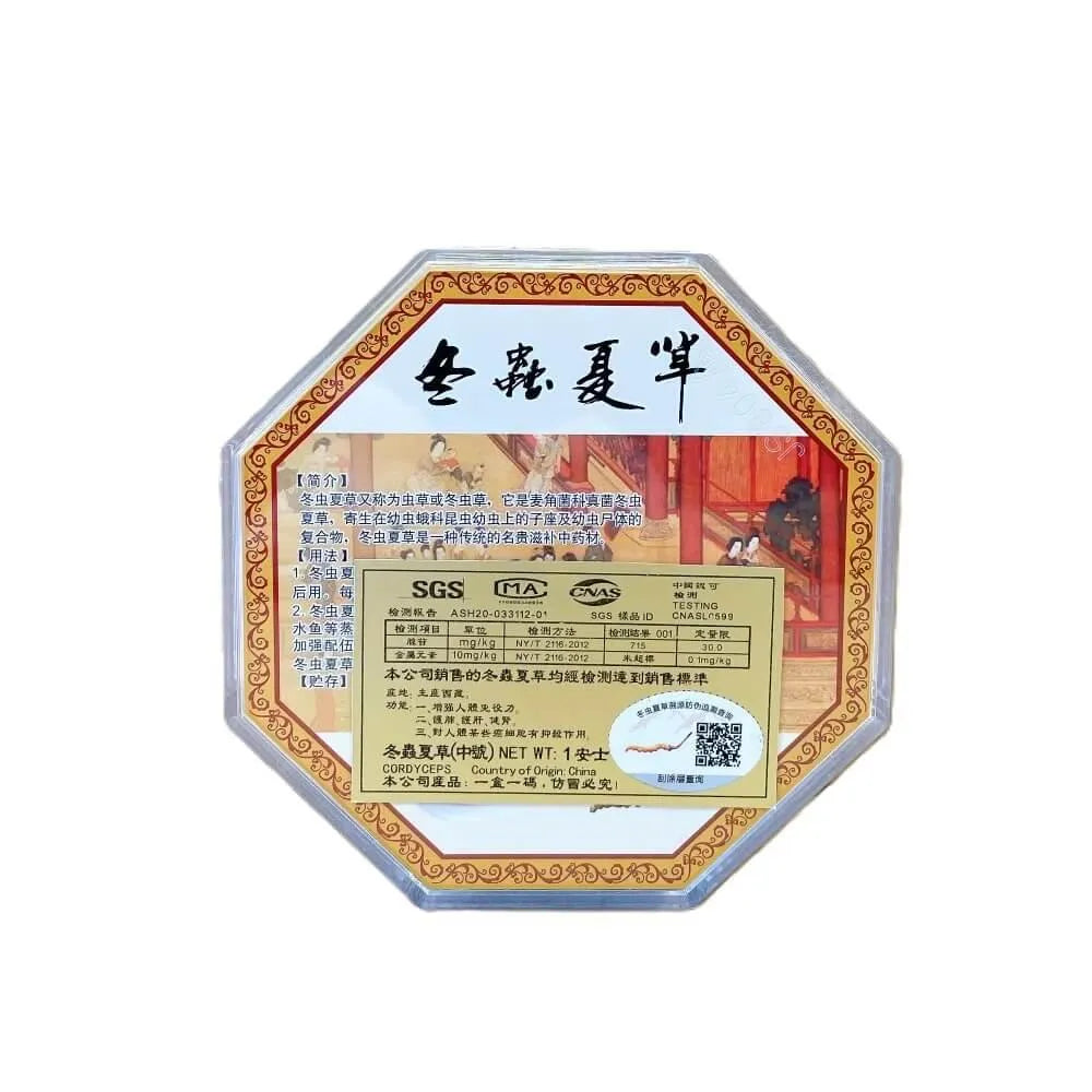 Wild Cordyceps Medium Size (1 oz) - Buy at New Green Nutrition