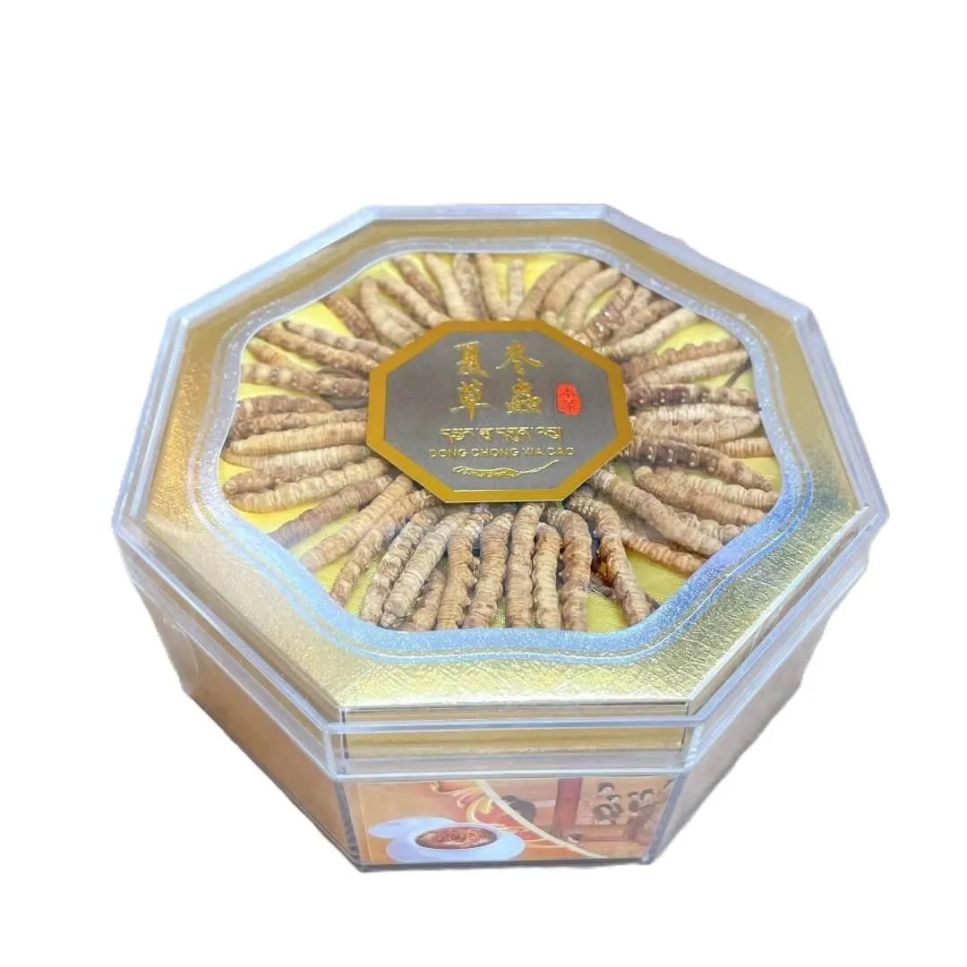 Wild Cordyceps Medium Size (1/2 oz) - Buy at New Green Nutrition