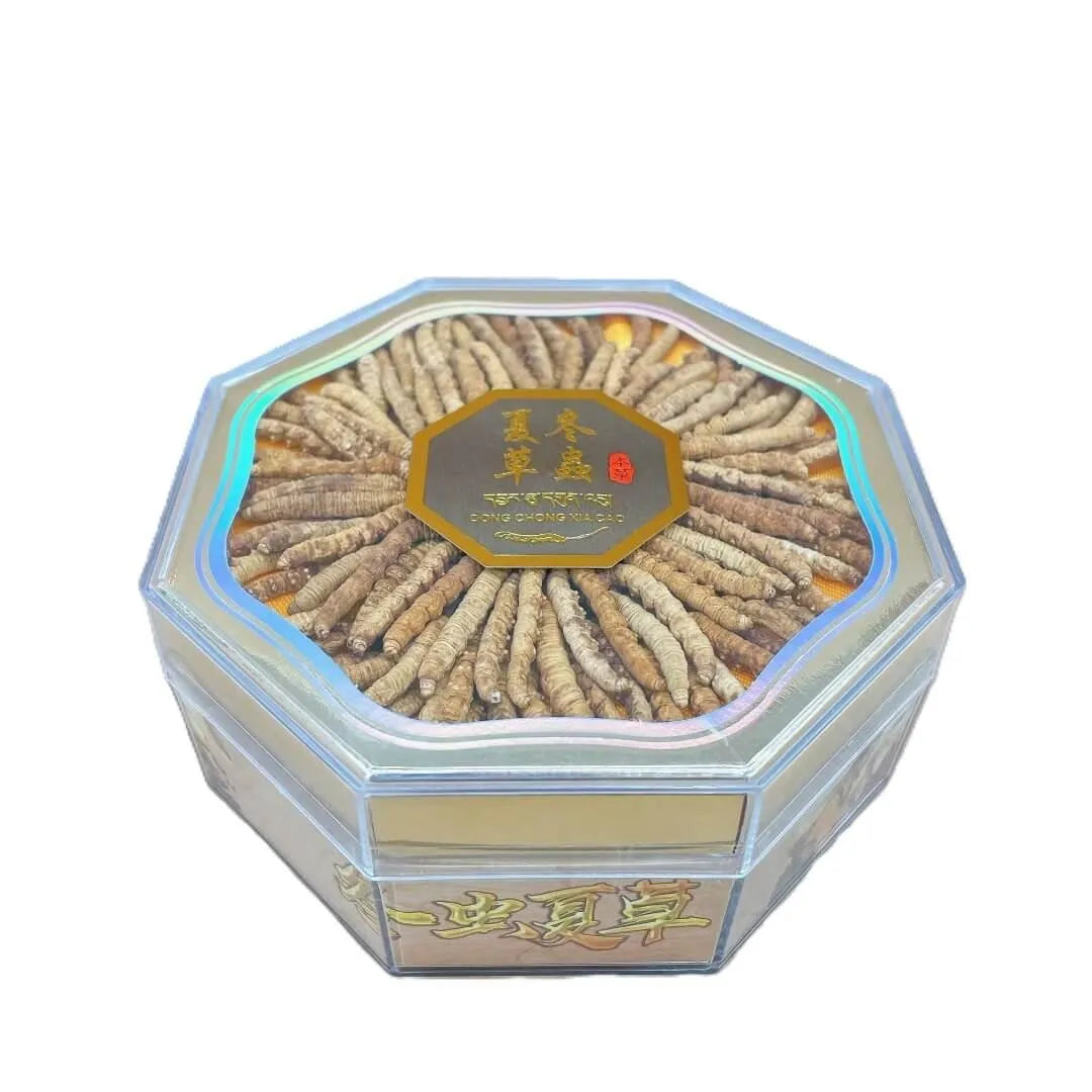 Wild Cordyceps Small Size (1 oz) - Buy at New Green Nutrition