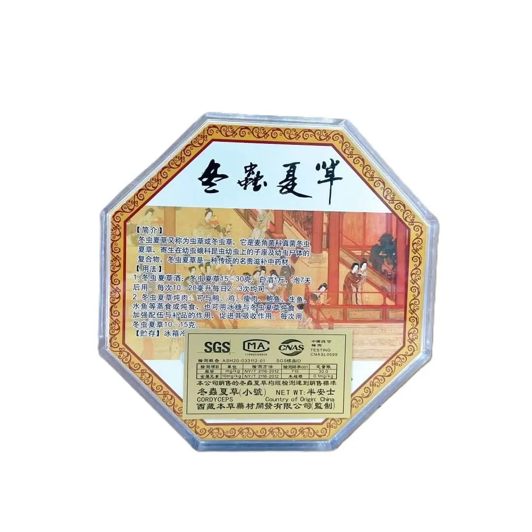 Wild Cordyceps Small Size (1/2 oz) - Buy at New Green Nutrition