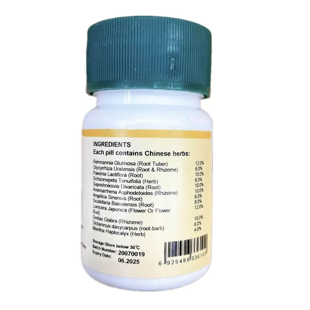 Xiao Feng San (200 Pills) - Buy at New Green Nutrition